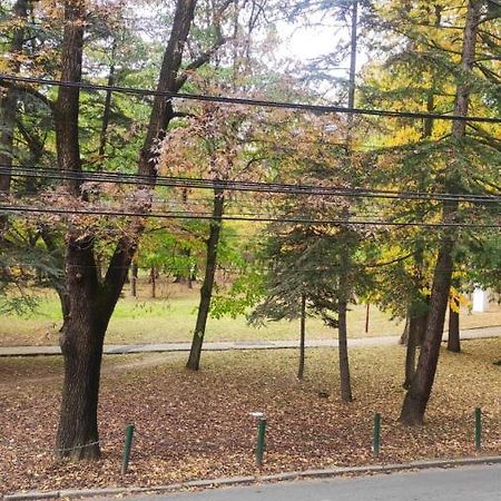 Ferienwohnung Centar_Park Aranđelovac Exterior foto